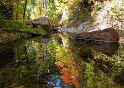 Photo of Oak Creek in Oak Creek Canyon