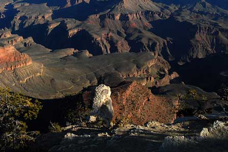 Picture of View From Mather Point Grand Canyon