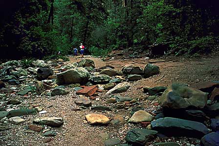 Picture of Hiking West Fork Trail