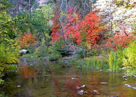 Oak Creek In The Fall