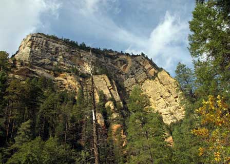 Canyon Walls Above Trail